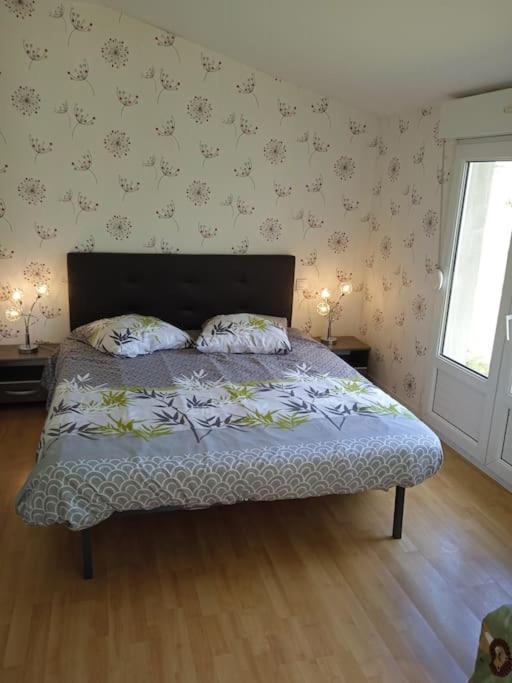 St Malo Maison Avec Jardin Proche Gare Plage Intramuros Chien Admis Parking Gratuit サン・マロ エクステリア 写真